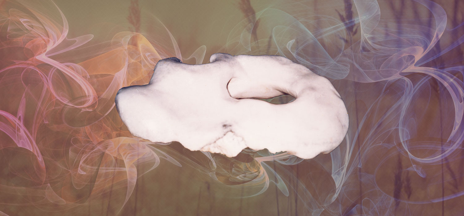 Shanoo Singh Sculptures Siporex Terracotta Ceramix